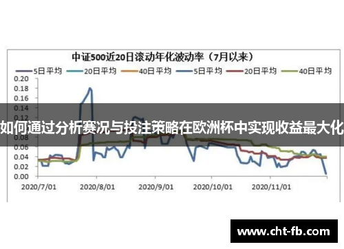 如何通过分析赛况与投注策略在欧洲杯中实现收益最大化