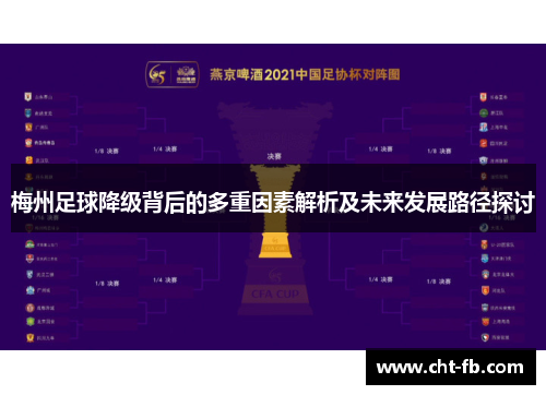梅州足球降级背后的多重因素解析及未来发展路径探讨
